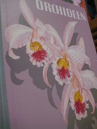 Bild des Verkufers fr Orchideen in Wort und Bild zum Verkauf von Alte Bcherwelt