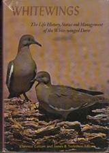 Immagine del venditore per Whitewings. The Life History, Status, and Management of the White-winged Dove. venduto da Buchversand Joachim Neumann