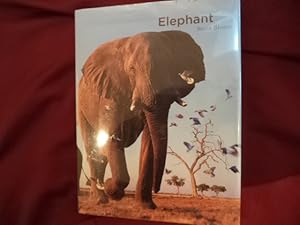 Imagen del vendedor de Elephant. a la venta por BookMine