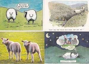 Bild des Verkufers fr Sheep Talking Does My Bum Look Big In This Counting 4x Comic Humour Postcard s zum Verkauf von Postcard Finder