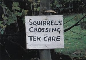 Seller image for Squirrels Crossing Tek Take Care Comic Humour Postcard for sale by Postcard Finder