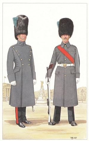 Captain Of Greencoat Order Irish Guard Military Postcard