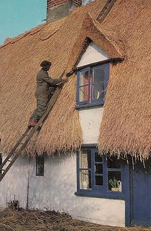 African Thatcher in Britain Thatching Crafts Postcard