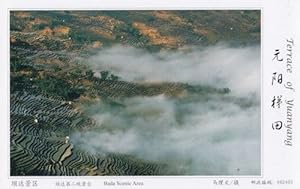 Bada Scenic Area Aerial Terrace Of Yuanyang China Postcard