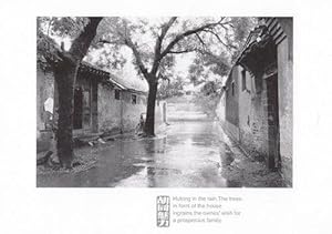 Beijing Hutongs Chinese In Floods Rain Postcard