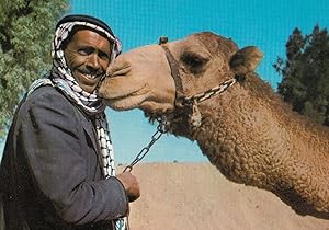 Jordan A Bedouin & His Camel Postcard