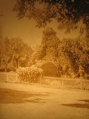 ANTIQUE 1896 HOMESTEAD JACKSONVILLE FL HISTORICAL MAGIC LANTERN SLIDE PHOTO