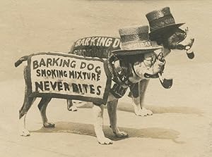 ANTIQUE BOARDWALK TOBACCO LEAF ADVERTISING AMERICAN PITBULL PIPE HAT OLD PHOTO