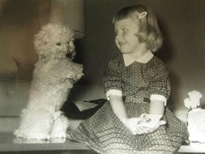 VINTAGE TOY POODLE DOG CUTE LITTLE GIRL DEC 1960 FOOTBALL CARD MID MOD OLD PHOTO
