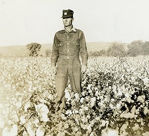 VINTAGE ANTIQUE ARTISTIC FIELD OF DREAMS DEPRESSION WPA ERA AMERICAN FARM PHOTO