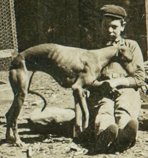 ANTIQUE 1905 CO MOUNTAINEER GREYHOUND DOG ARTISTIC USA DEER STEREOVIEW OLD PHOTO