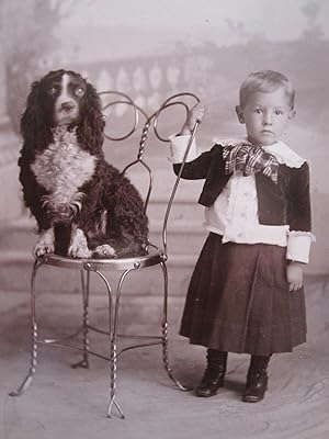 ANTIQUE COCKER SPANIEL DOG BOY INGALLS BLOCK DULUTH MN THIEL CABINET CARD PHOTO