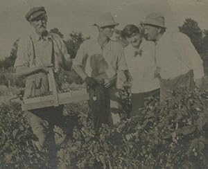 ANTIQUE VINTAGE 1915 AMUNDSEN FARM CHICAGO IL BERRIES BERRY DUDES MEN OLD PHOTO