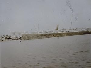 ANTIQUE U.S.S. COMAL GALVESTON TX SHIP TAMPA BAY FL MING PEKINGESE DOGS PHOTOS