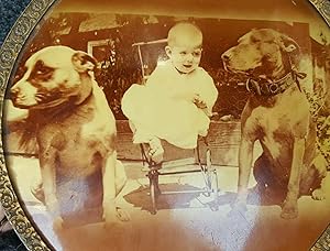 ANTIQUE VINTAGE AMERICAN PIT BULLS DOG BABY CHICAGO MEDALLION BUTTON RARE PHOTO