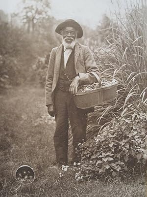 ANTIQUE AFRICAN AMERICAN GREEN BEANS PEPPERS GARDEN FINE ART PHOTOGRAPH OLD MAN