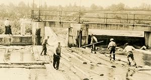 VINTAGE 1947 CHILLICOTHE OHIO OH LOGGERS OCCUPATIONAL RIVER CANAL FINE OLD PHOTO