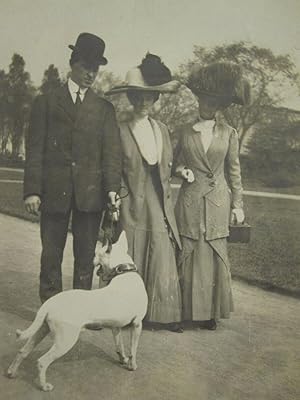 ANTIQUE EDWARDIAN DOG LOVERS OWNERS WHITE AMERICAN PITBULL COLLAR ARTISTIC PHOTO
