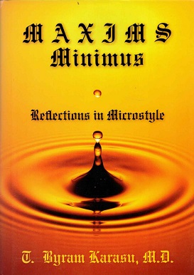 Bild des Verkufers fr Maximus Minimus Reflections in microstyle zum Verkauf von Antiquariaat van Starkenburg
