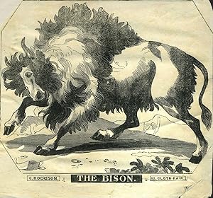 The Bison. Woodblock advertising