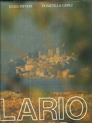 Seller image for Lario Acque dorate for sale by Librodifaccia