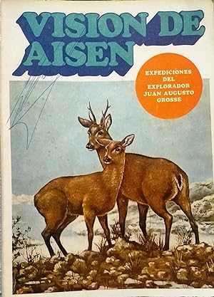 Visión de Aisén : Expediciones del explorador Juan Augusto Grosse I. Ilustrado con 130 fotos y 12...
