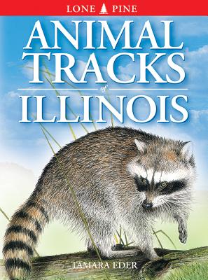 Immagine del venditore per Animal Tracks of Illinois (Paperback or Softback) venduto da BargainBookStores
