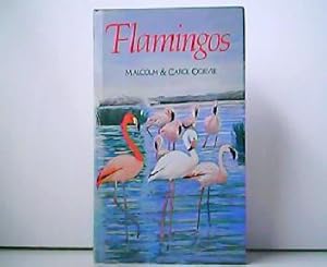 Bild des Verkufers fr Flamingos. zum Verkauf von Antiquariat Kirchheim