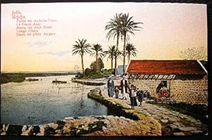 Circa 1911 Postcard Jaffa Parie am Audsche-Fluss Le Fleuve Auja Along the Auja River Lungo l'Auja