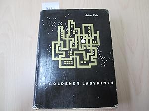 Im goldenen Labyrinth Erzählungen aus Johannesburg