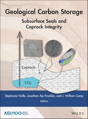 Immagine del venditore per Geological Carbon Storage : Subsurface Seals and Caprock Integrity venduto da GreatBookPrices