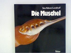 Imagen del vendedor de Die Muschel. a la venta por ANTIQUARIAT FRDEBUCH Inh.Michael Simon