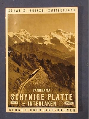 Panorama Schynige Platte bei Interlaken. Berner-Oberland-Bahnen.