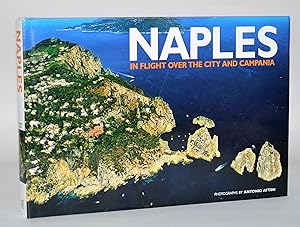 Naples. In Flight Over the city and Campania. Ediz. illustrata (Italia emozioni dal cielo)