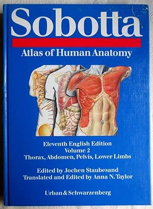 Atlas of human anatomy : Vol. 2., Thorax, abdomen, pelvis, lower limbs