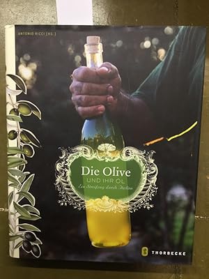 Die Olive und ihr Öl: Ein Streifzug durch Italien