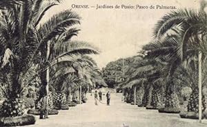 ORENSE. JARDINES DE POSIO. PASEO DE LAS PALMERAS. COLECCION NUM 2 DE LA REGION, ORENSE. (Postales...