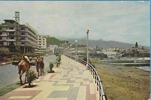 TENERIFE. PUERTO DE LA CRUZ. PASEO DE COLÓN. SERIE II - NÚM 7368. CIRCULADA EN 1961 (Postales/Esp...