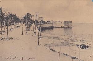 13. CÁDIZ - ALAMEDA PODACA. LA HISPANO ALEMANA EDITOR. 1909 (Postales/España Antigua (hasta 1939)...