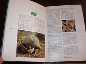 Image du vendeur pour Dictionnaire de zoologie - Complet en deux volumes mis en vente par Hairion Thibault