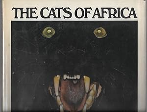 The Cats of Africa