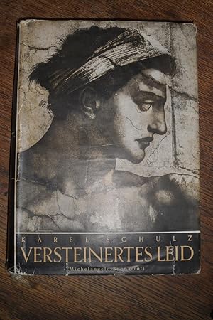 Seller image for Versteinertes Leid. Michelangelo Buonarroti. for sale by Antiquariat Floeder