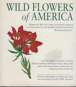 Seller image for Wild Flowers of America ( North ) for sale by Mike Park Ltd