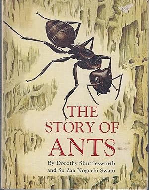 The Story of Ants