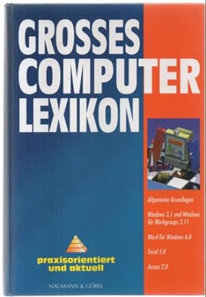 Grosses Computer-Lexikon. Allgemeine Grundlagen, Windows 3.1 und Windows für Workgroups 3.11, Wor...
