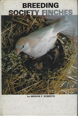 Breeding Society Finches