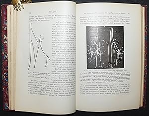 Bild des Verkufers fr Die Nerven des Herzens. Ihre Anatomie und Physiologie. bersetzt von H. L. Heusner. Neue vom Verfasser umgearbeitete und vervollstndigte Ausgabe mit einer Vorrede fr Kliniker und rzte. zum Verkauf von Antiquariat Haufe & Lutz