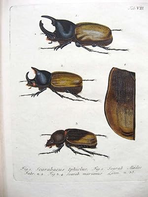 Bild des Verkufers fr Beytrge zur Geschichte der Insekten. zum Verkauf von Antiquariat H. Carlsen