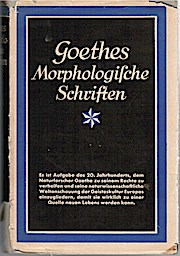 Bild des Verkufers fr Goethe in Berlin. zum Verkauf von Schrmann und Kiewning GbR