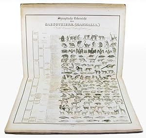 (Seltene deutsche Ausgabe des Cuvierschen Monumentalatlas'.) - Synoptischer Atlas der Zoologie na...